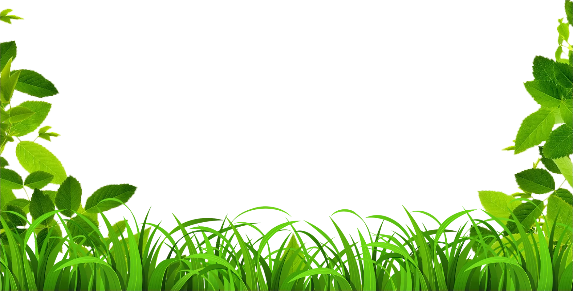 Detail Vine Border Transparent Png Number 8