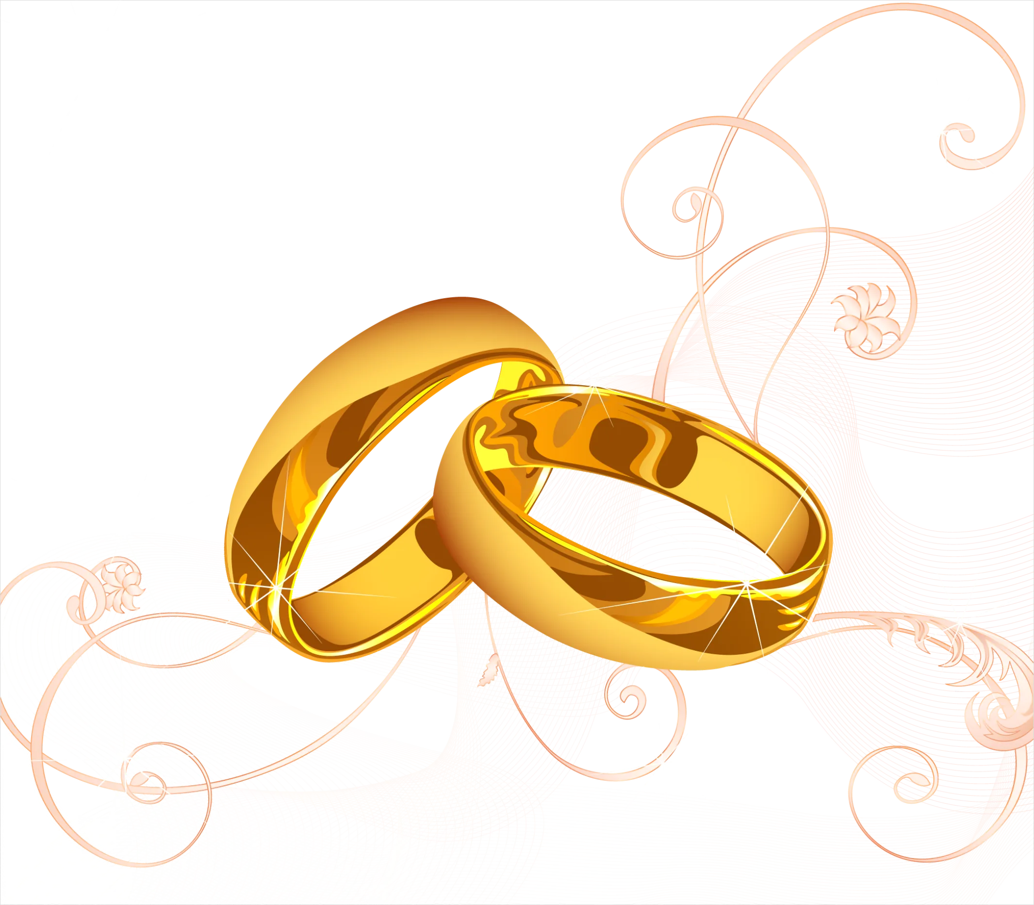 Detail Wedding Invitation Elements Transparent Png Number 3