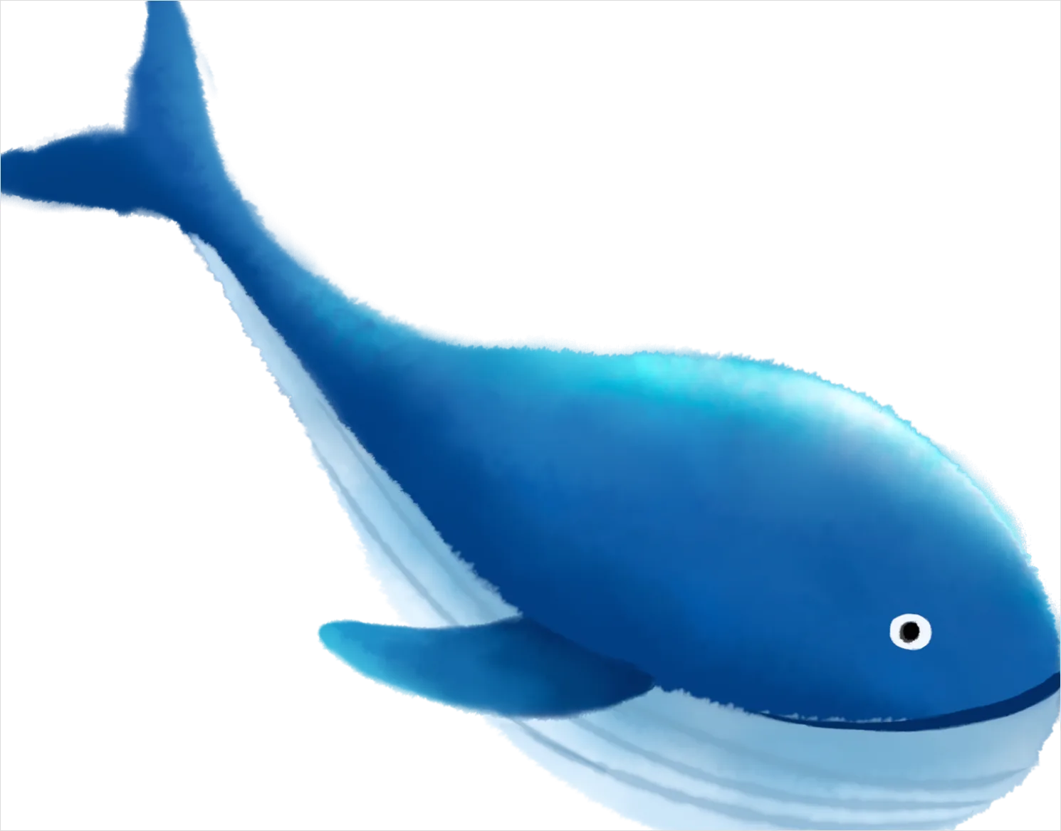 Detail Whale Transparent Png Clipart Number 17