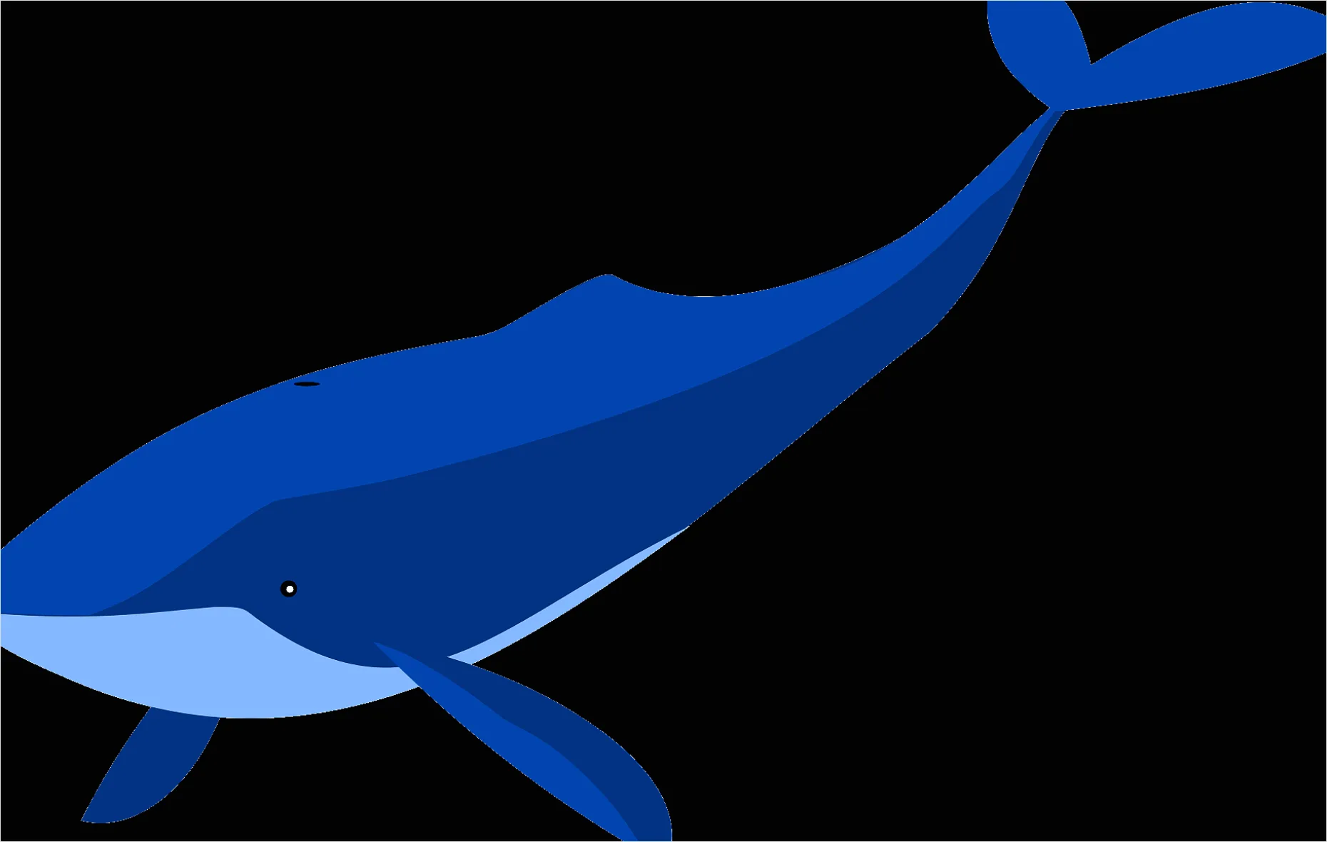 Detail Whale Transparent Png Clipart Number 5