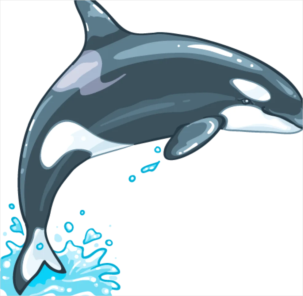 Detail Whale Transparent Png Clipart Number 7