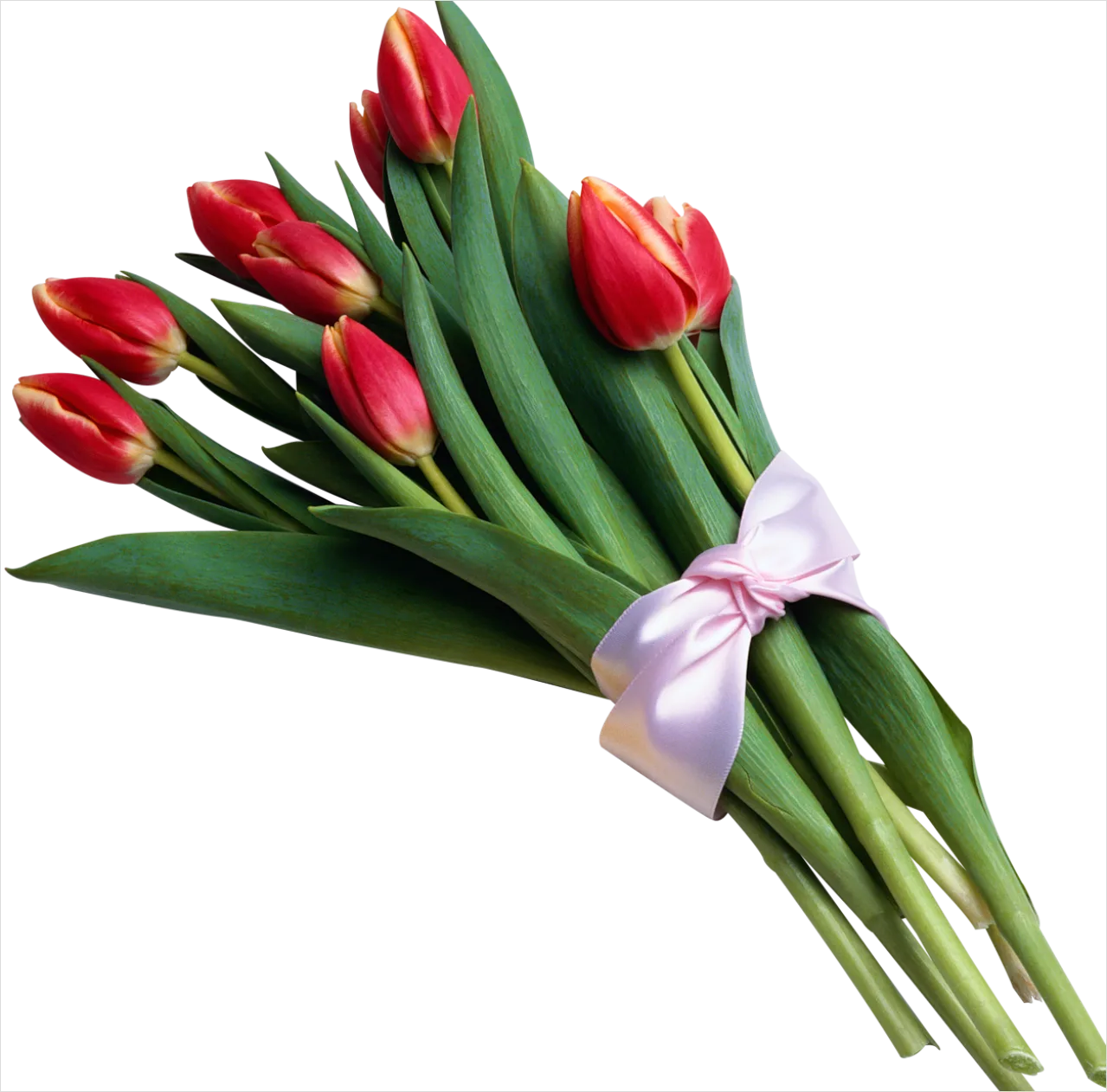 Detail Wildflower Bouquet Transparent Png Number 3