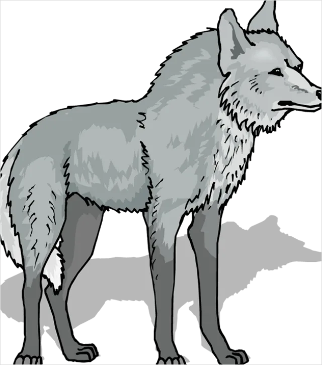 Detail Wolf Transparent Png Clipart Number 6