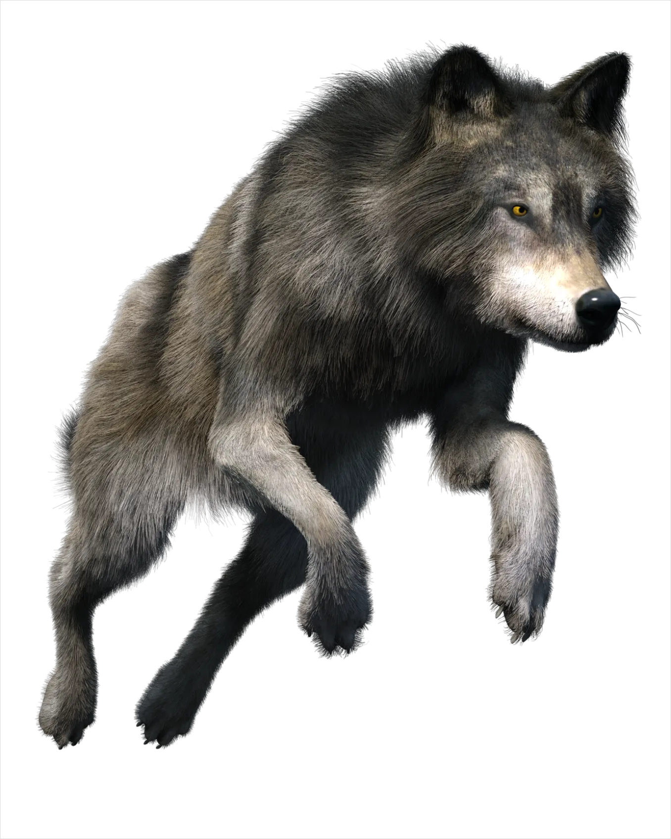 Detail Wolf Transparent Png Clipart Number 9