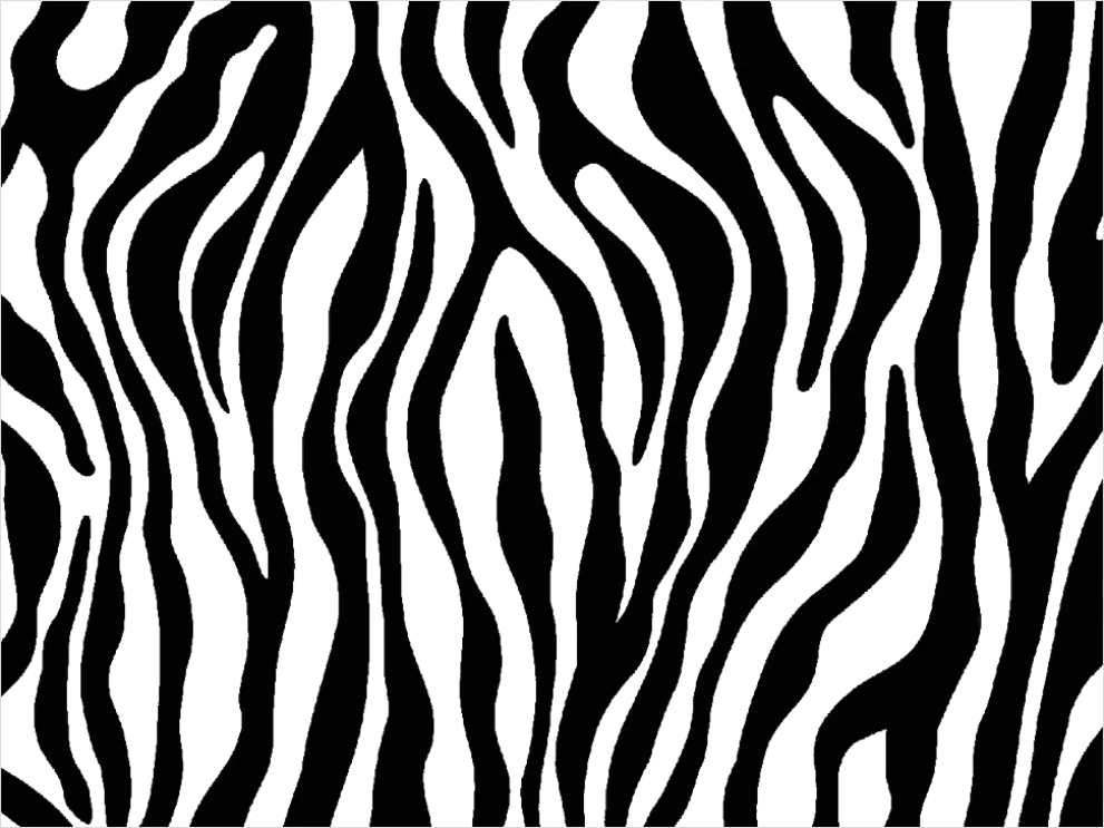 Detail Zebra Print Transparent Png Number 2