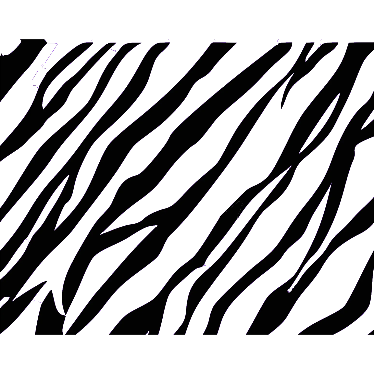 Detail Zebra Print Transparent Png Number 3