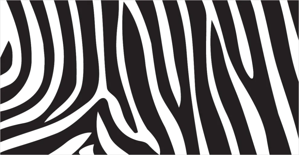 Detail Zebra Print Transparent Png Number 5
