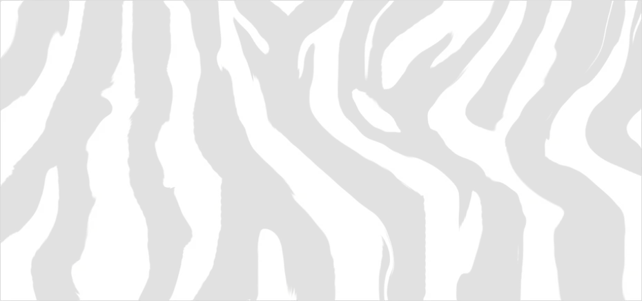 Detail Zebra Print Transparent Png Number 7
