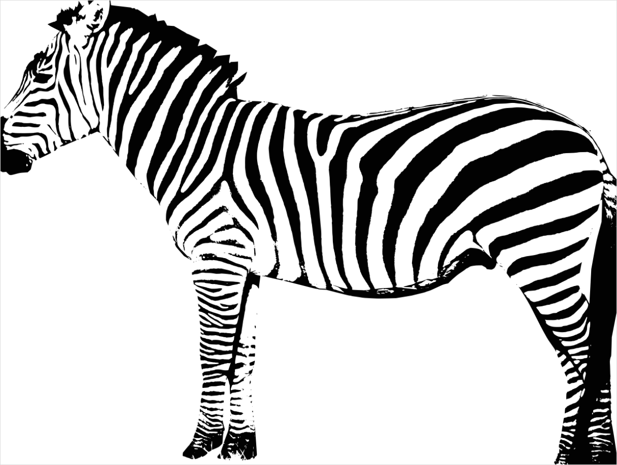 Detail Zebra Transparent Png Clipart Number 14