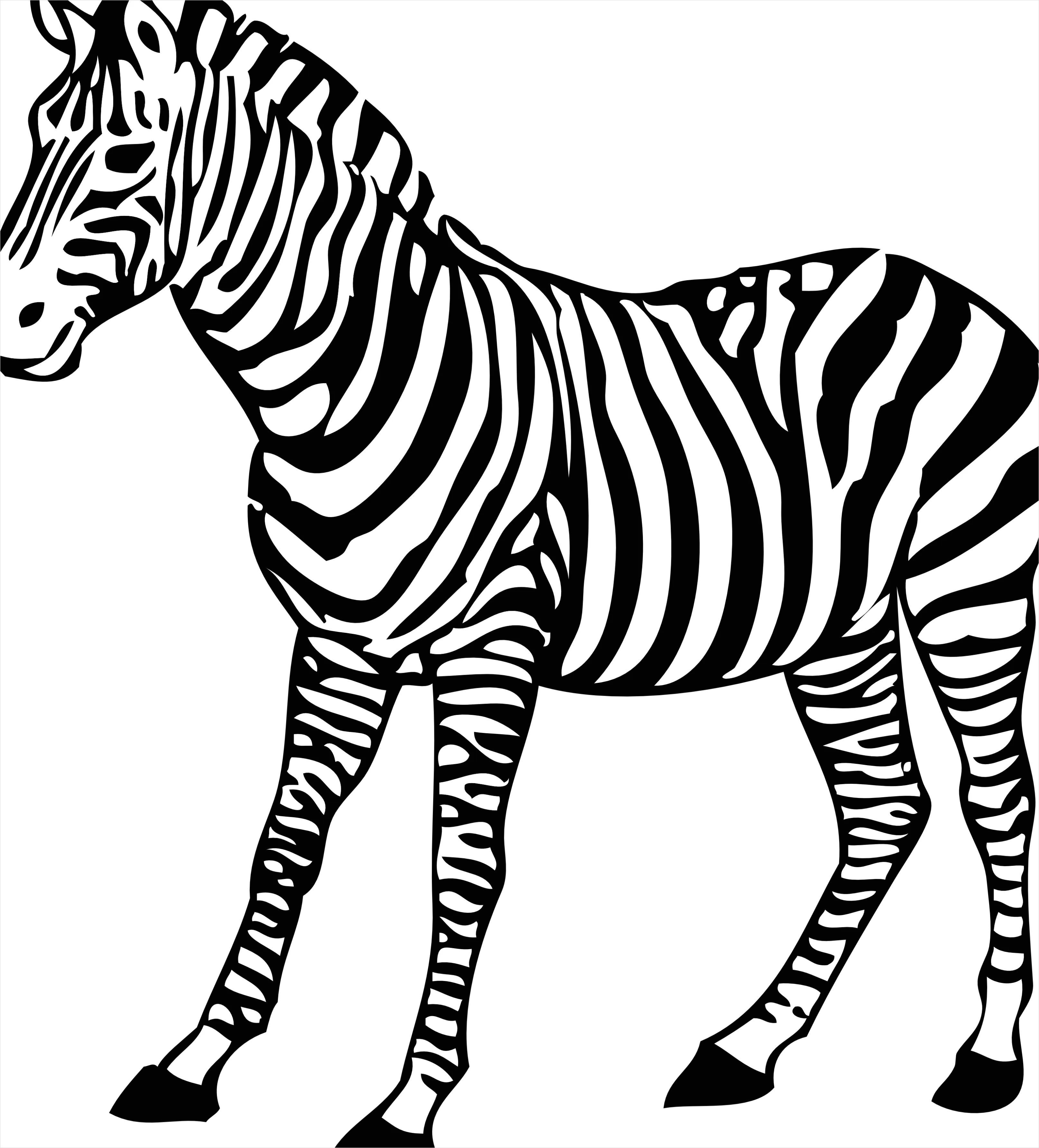 Detail Zebra Transparent Png Clipart Number 17