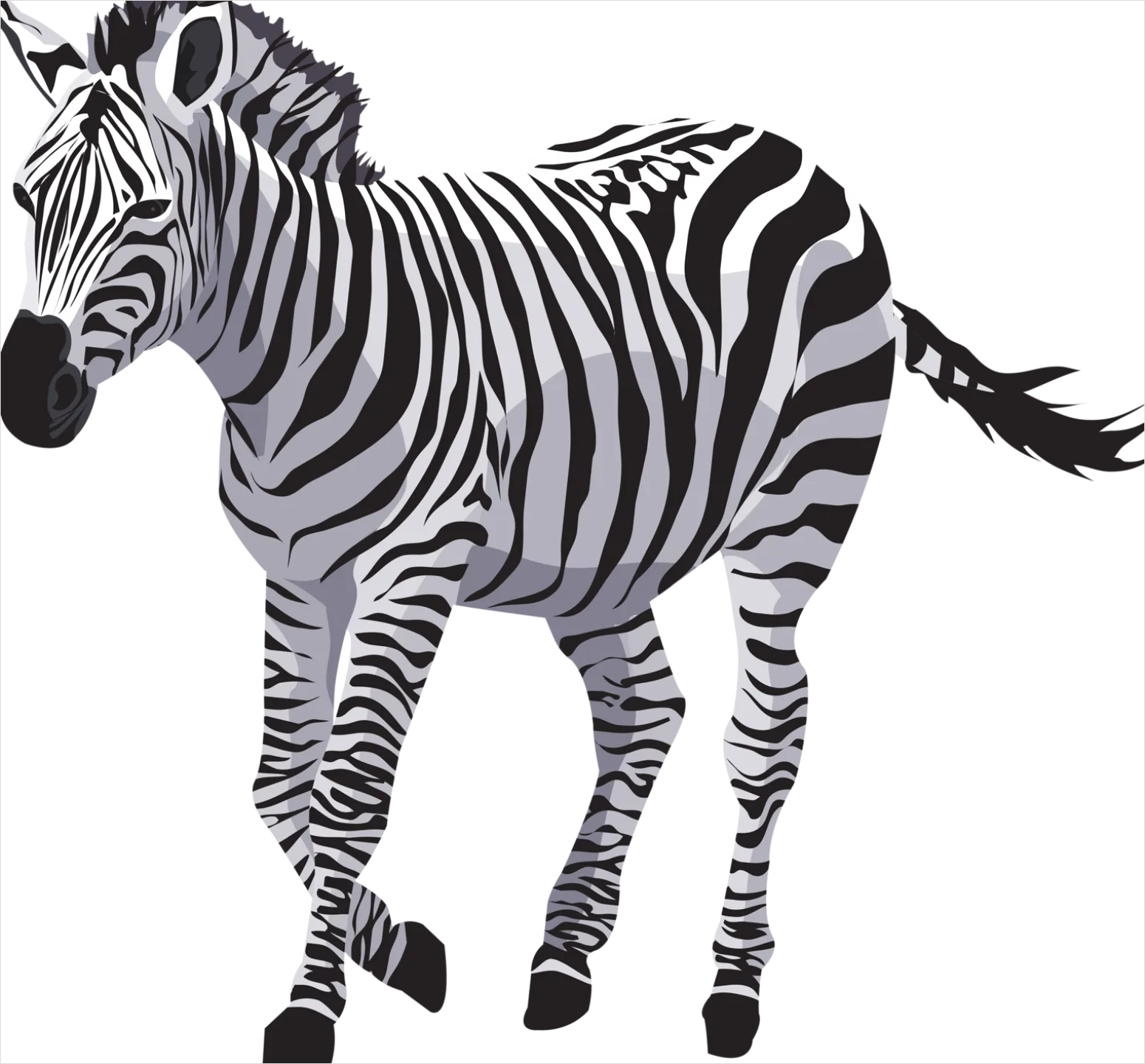 Detail Zebra Transparent Png Clipart Number 2
