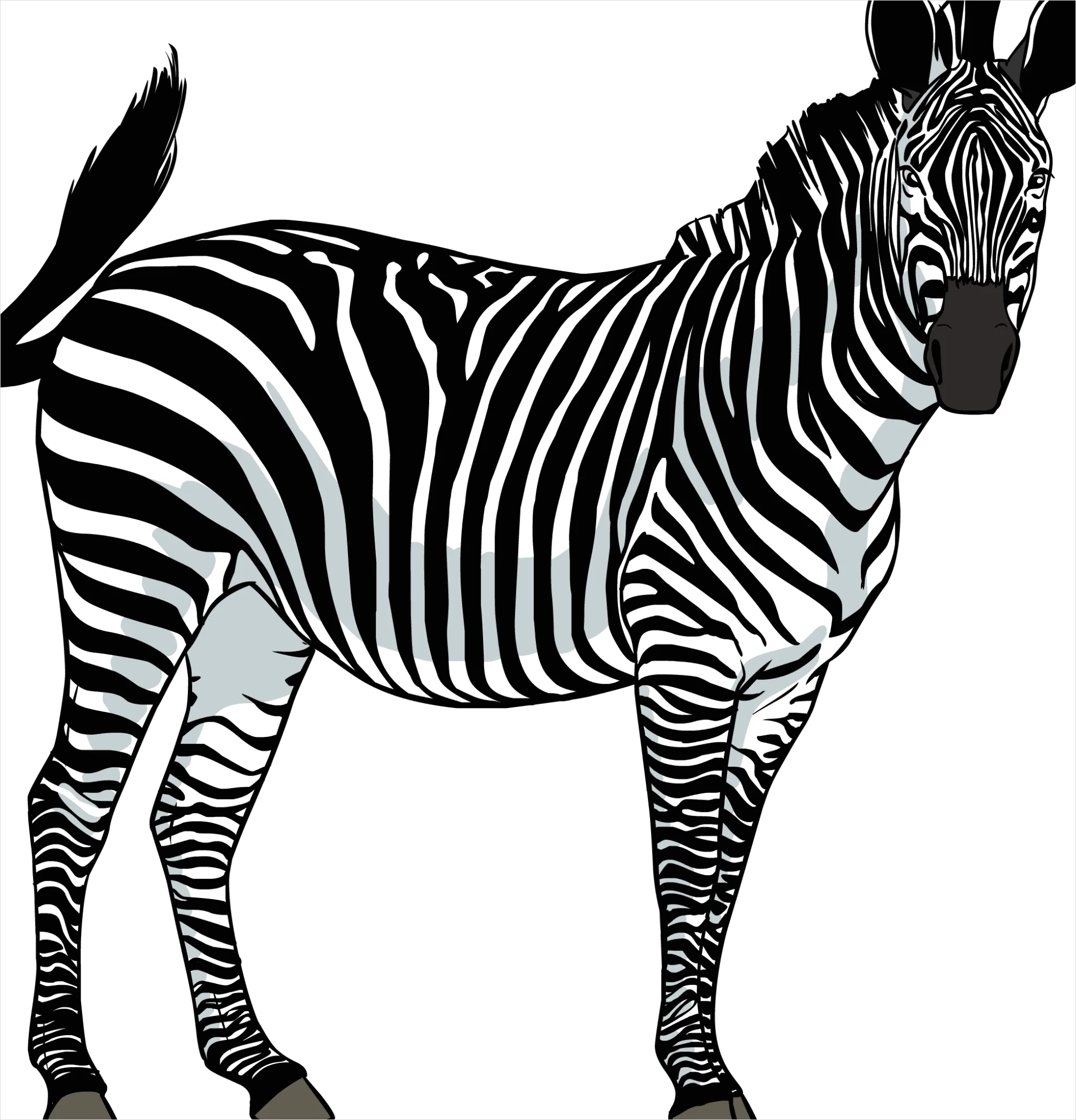 Detail Zebra Transparent Png Clipart Number 4