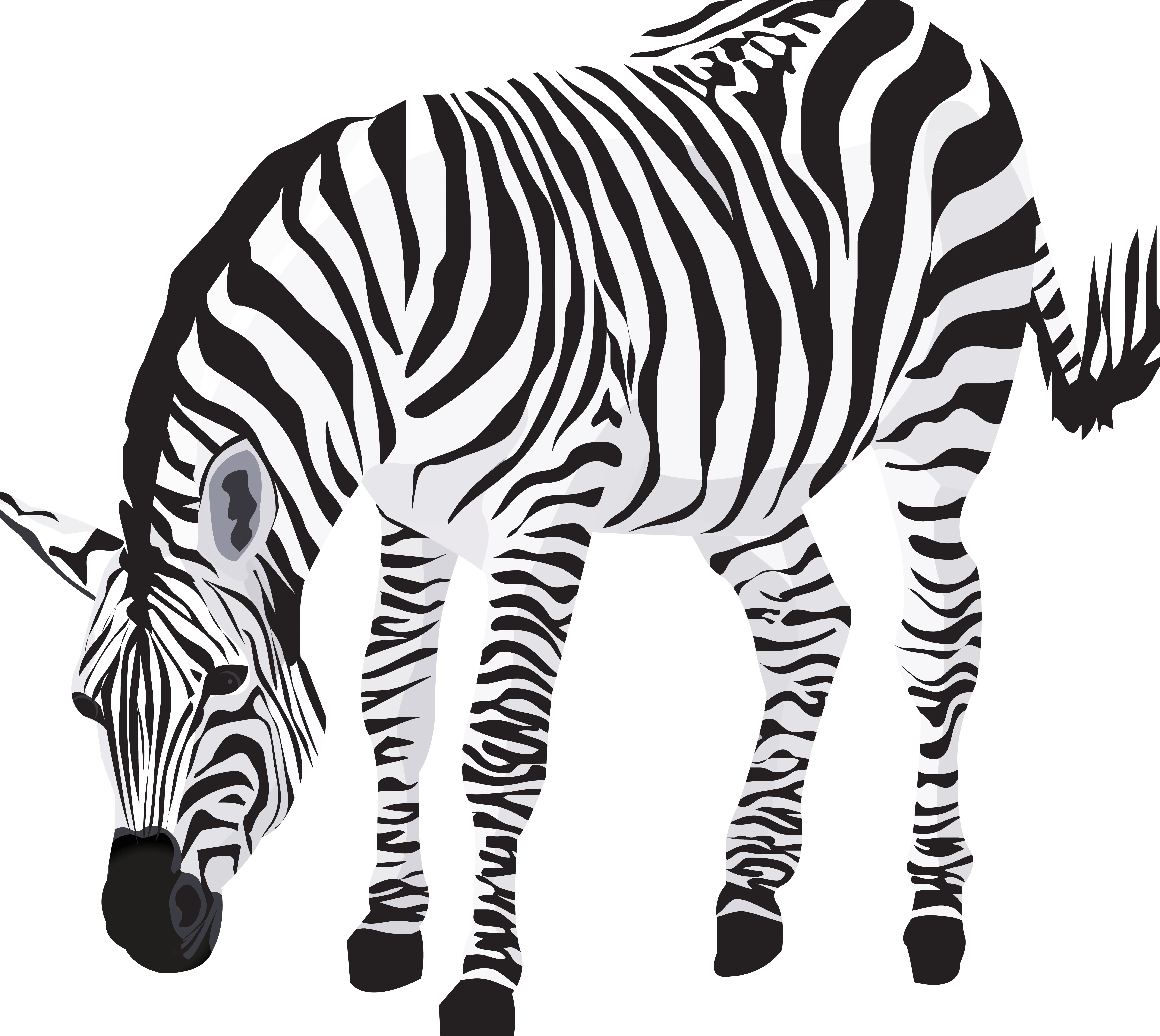 Detail Zebra Transparent Png Clipart Number 5