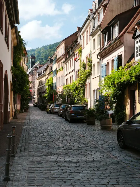 Detail Altstadt Häuserreihe Mit Blumenkästen Number 4