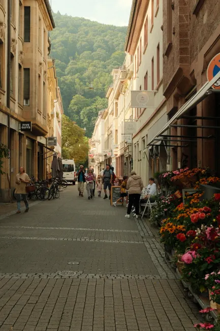 Detail Altstadt Häuserreihe Mit Blumenkästen Number 8
