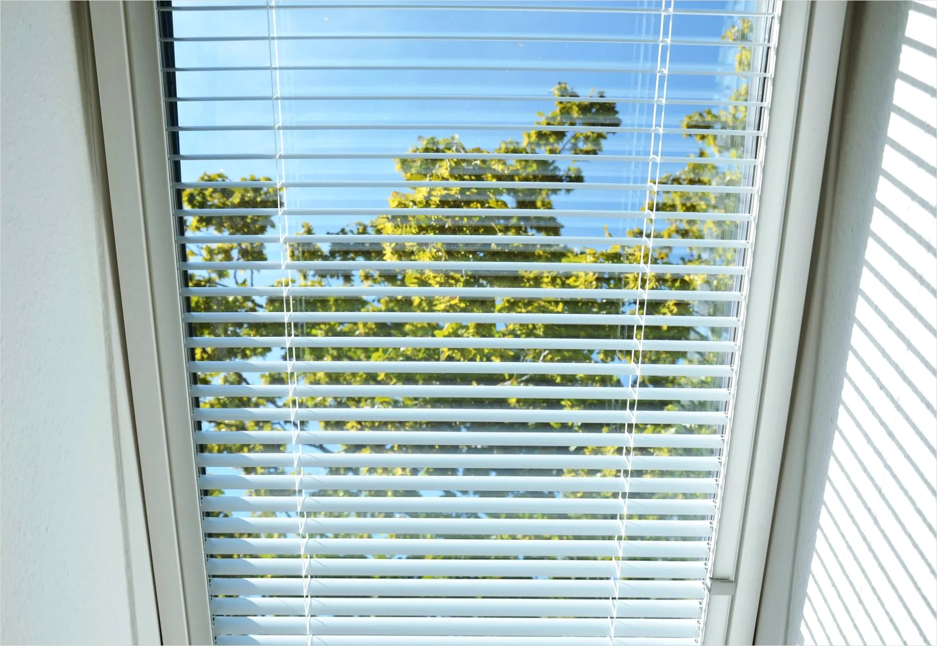 Detail Fensterfront Innenraum Licht Und Schatten Number 5