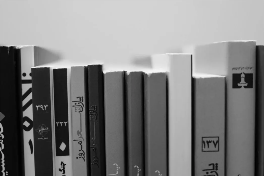 Detail Graphic Novel Seite Schwarz Weiß Kontrast Number 5