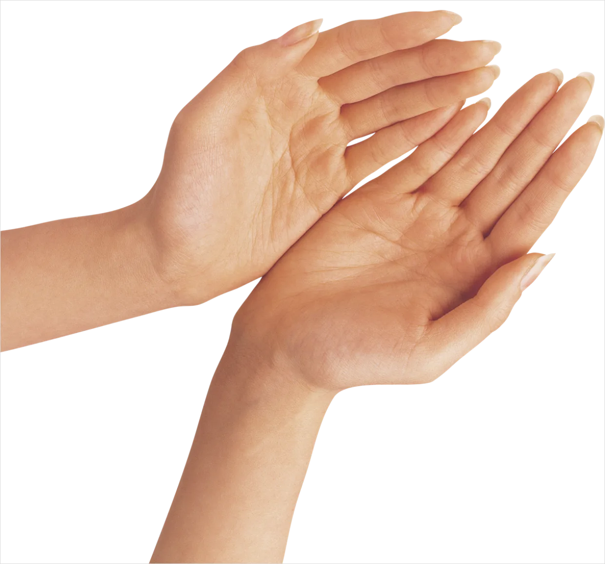 Detail Hand Gesture Transparent Png Number 2