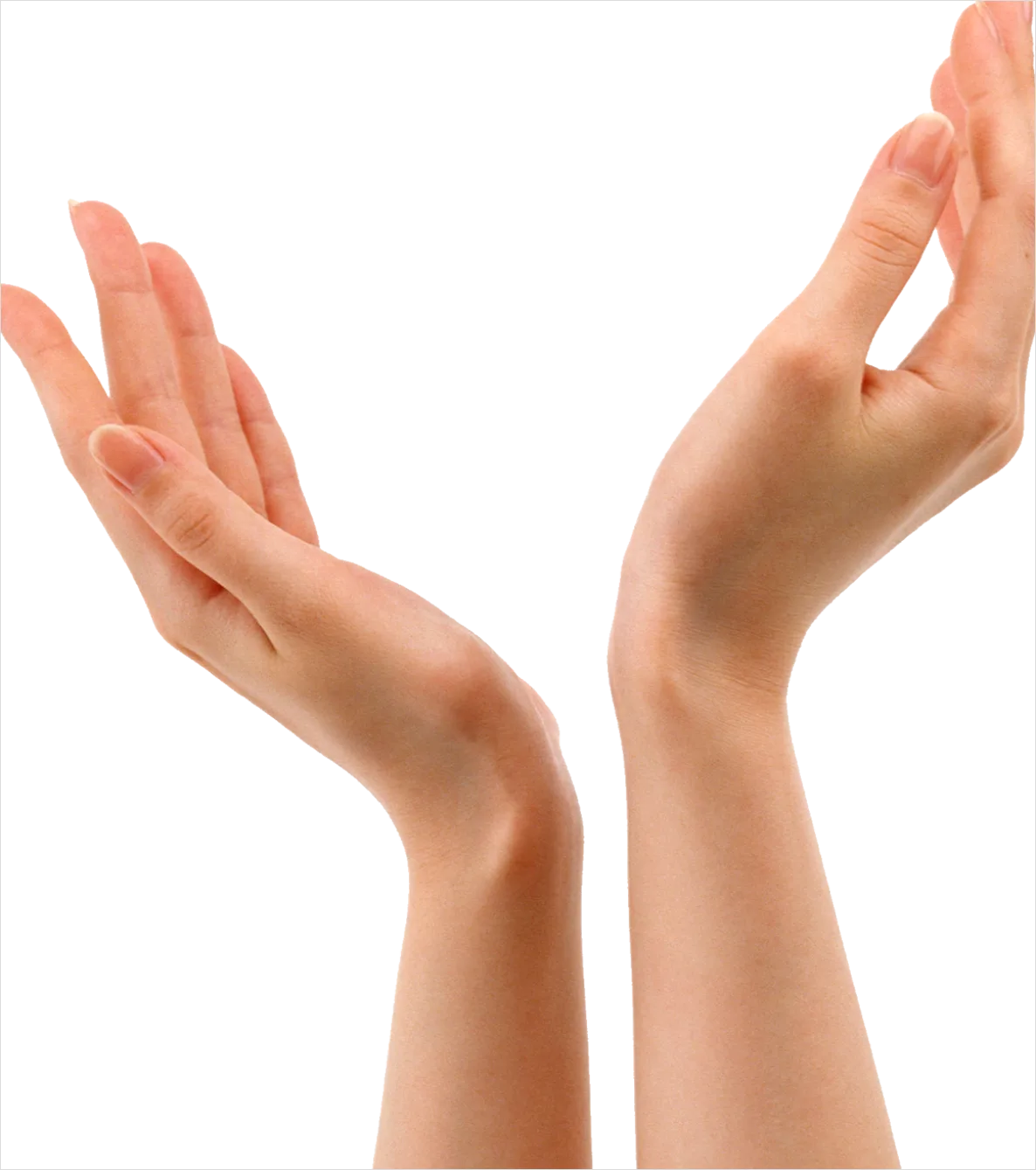 Detail Hand Gesture Transparent Png Number 5