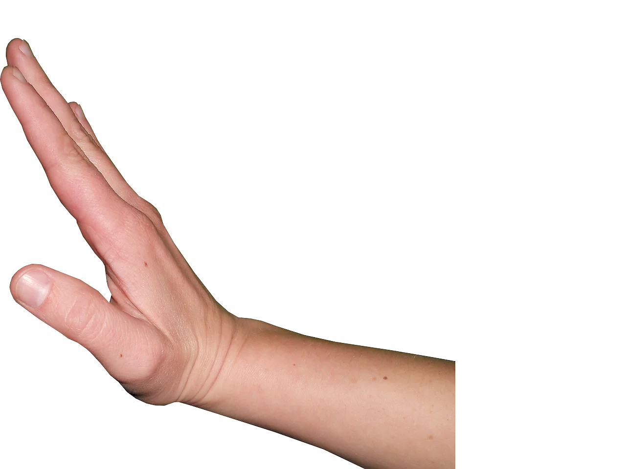 Detail Hand Gesture Transparent Png Number 6