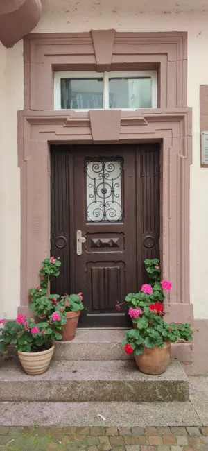 Detail Haus Eingangstür Modern Mit Vordach Number 8
