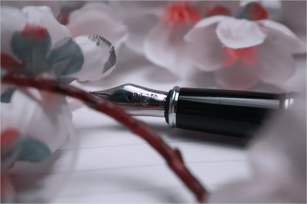 Detail Kalligraphie Feder Und Tinte Nahaufnahme Number 15