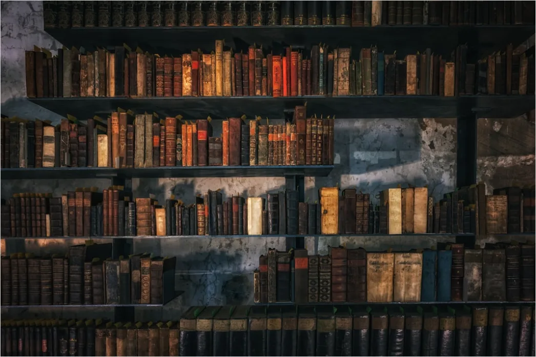 Library Shelves Full Of Books Close Up F939