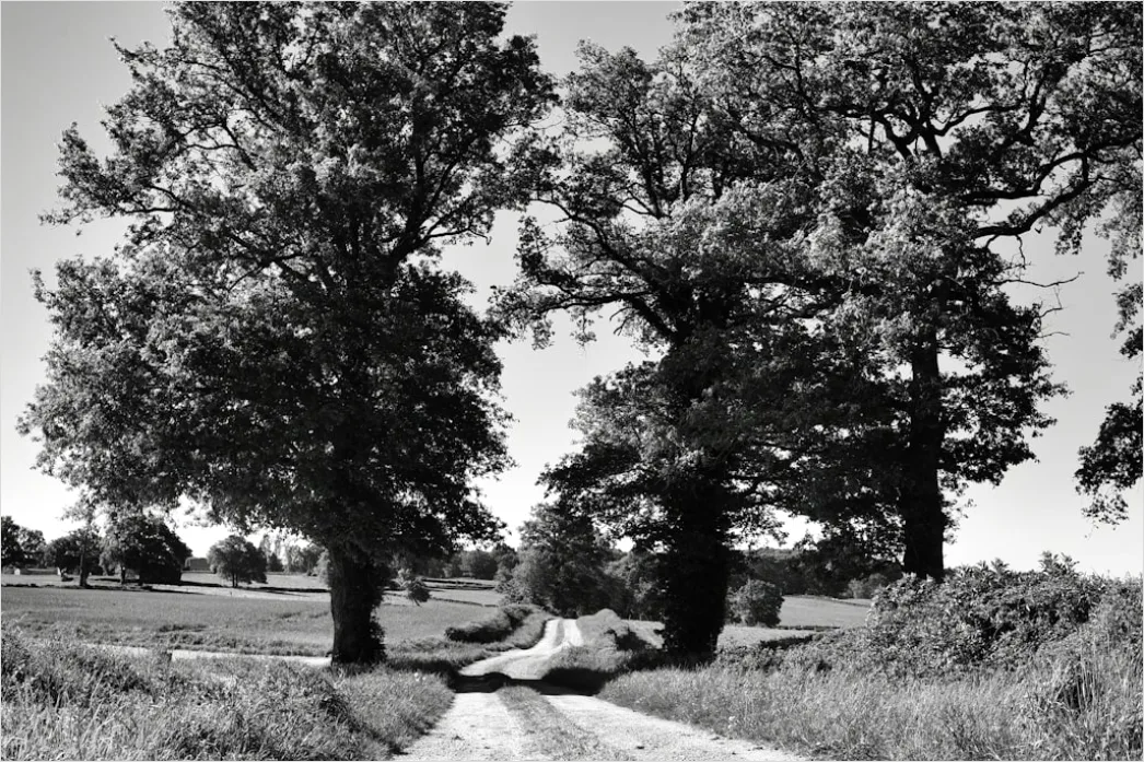 Detail Aston Martin Db12 On Country Road Landscape Number 11