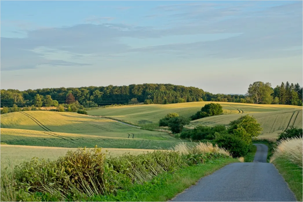 Detail Aston Martin Db12 On Country Road Landscape Number 5