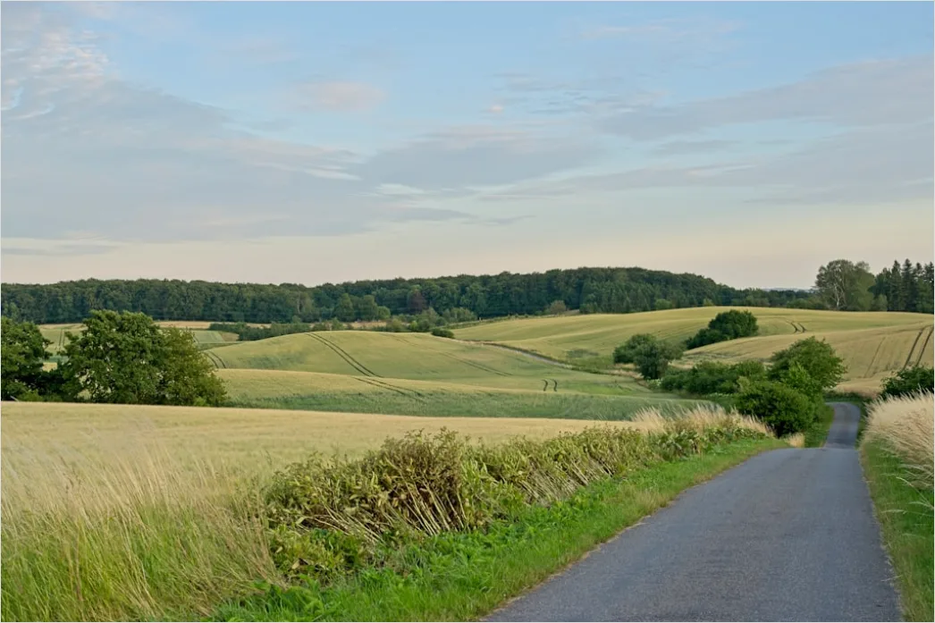 Detail Aston Martin Db12 On Country Road Landscape Number 6