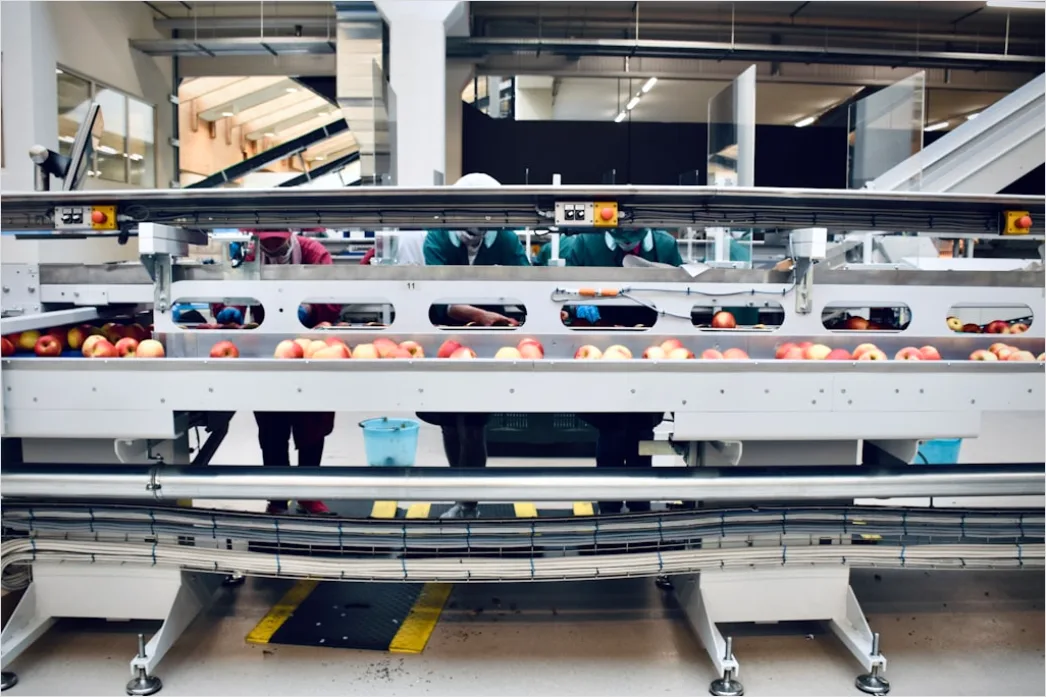 Detail Automated Production Line Conveyor Belt Close Up Number 6