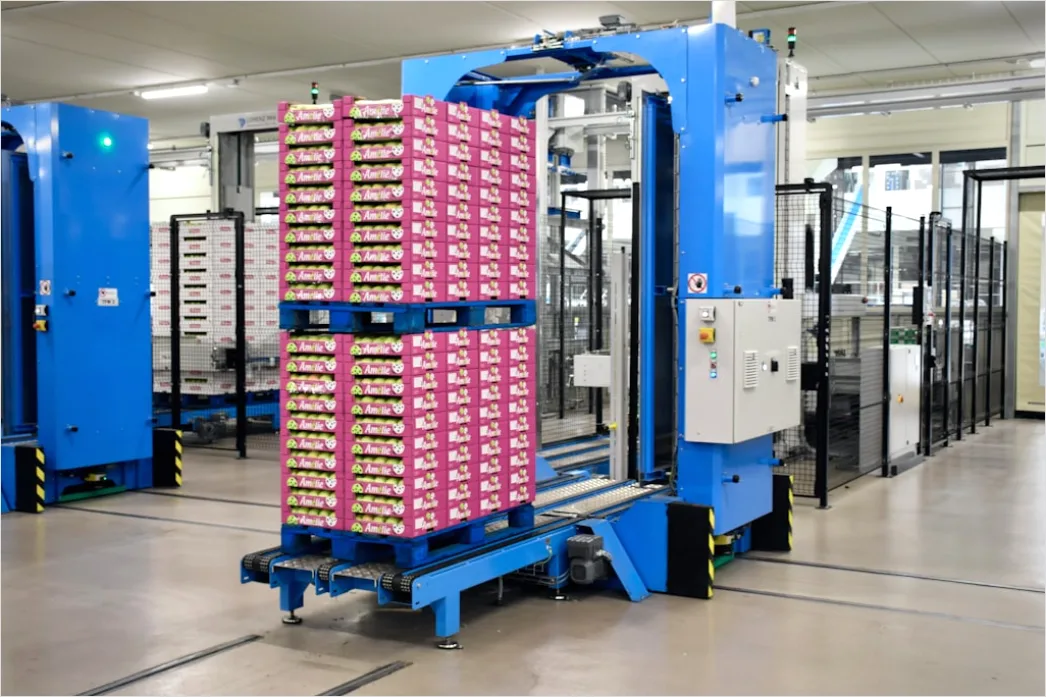 Detail Automated Warehouse Robotic Picking System Operation Number 4