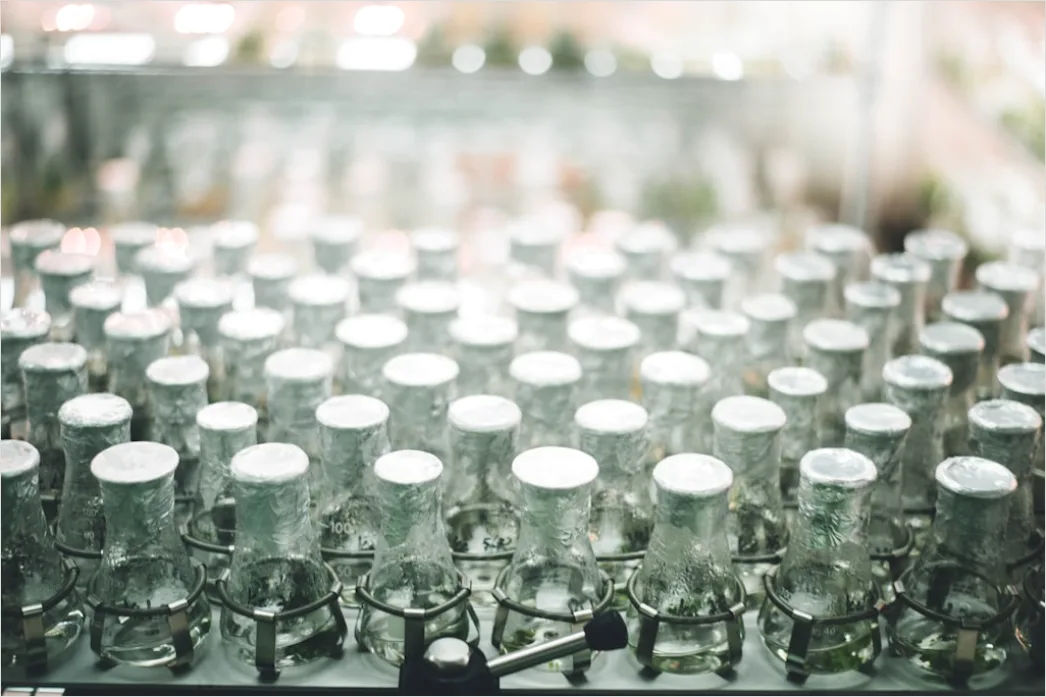 Detail Beverage Factory Bottling Line Automated Filling Number 20