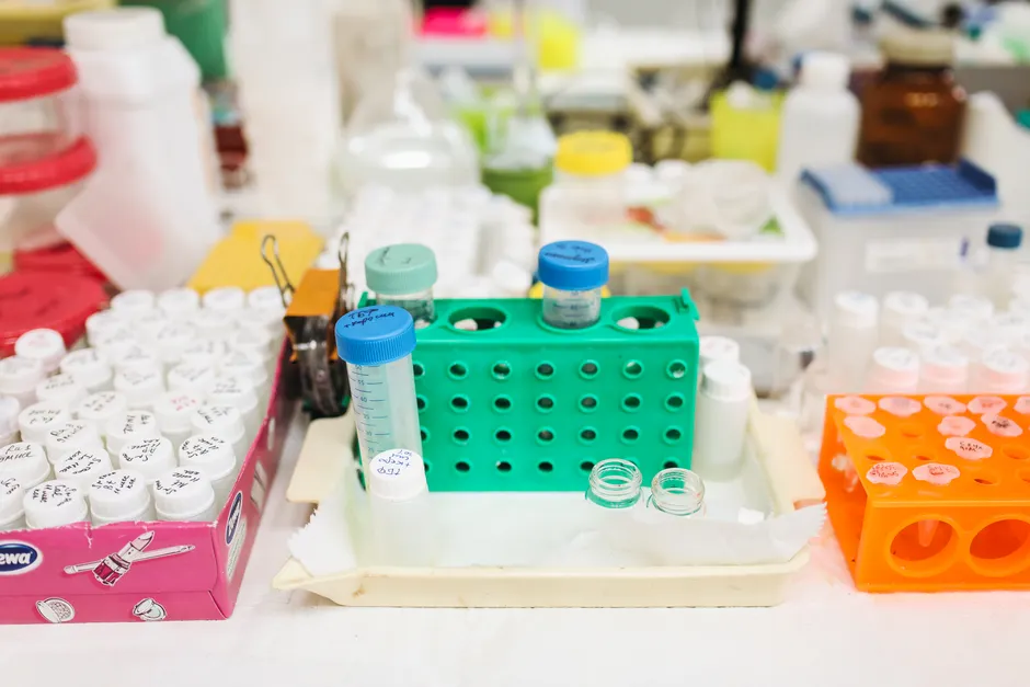 Detail Biological Sample Storage Freezer Laboratory Interior Number 11