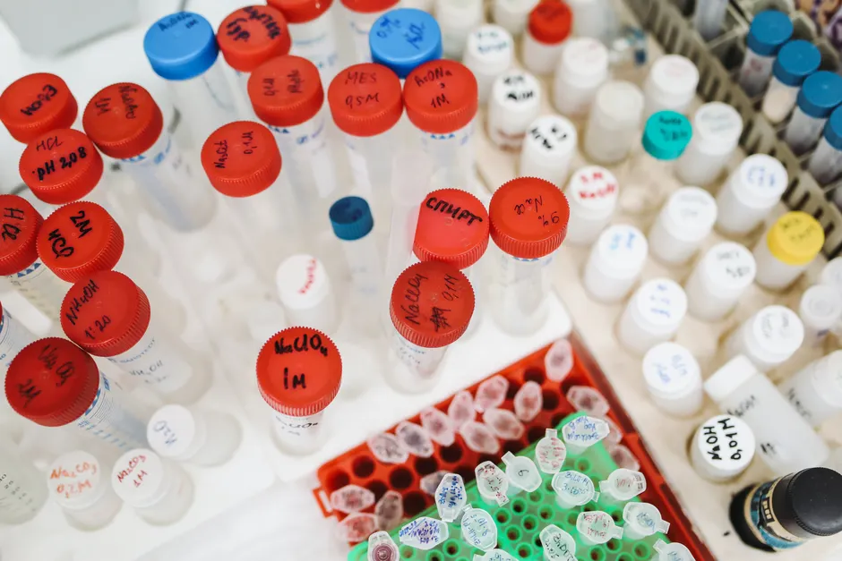 Detail Biological Sample Storage Freezer Laboratory Interior Number 13