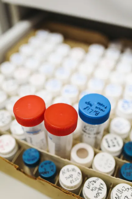Detail Biological Sample Storage Freezer Laboratory Interior Number 7