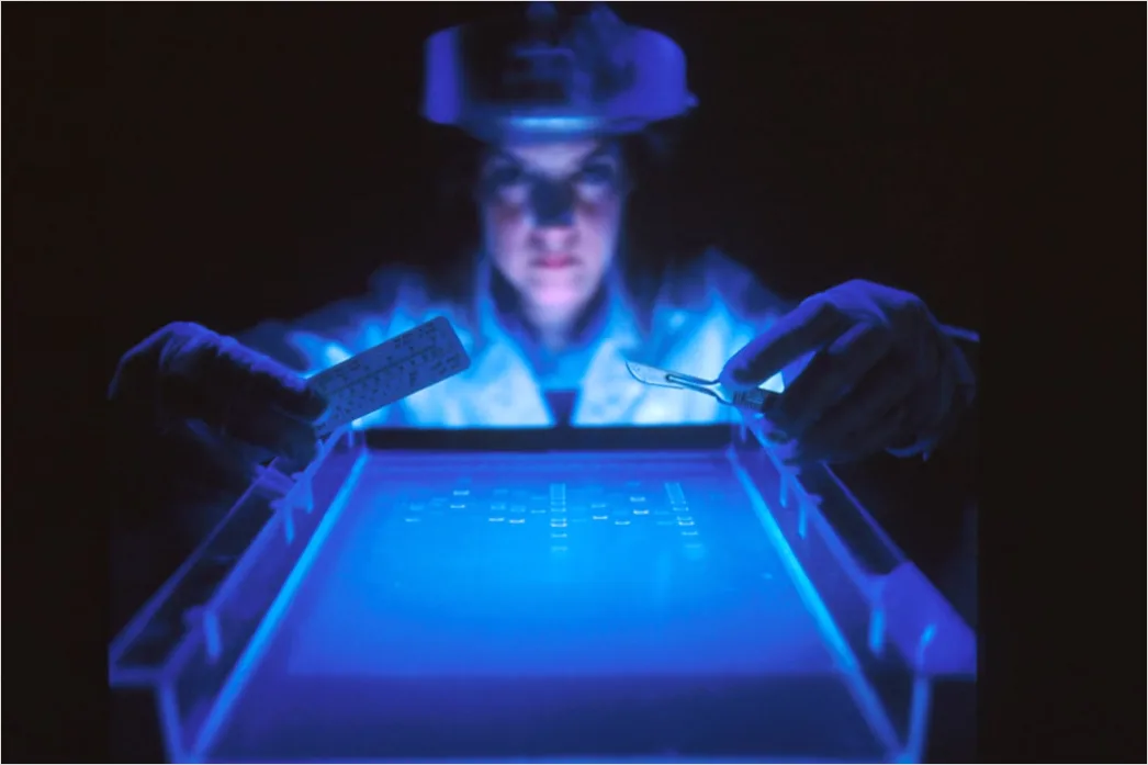 Detail Biotechnology Researcher Analyzing Dna Gel Electrophoresis Number 3