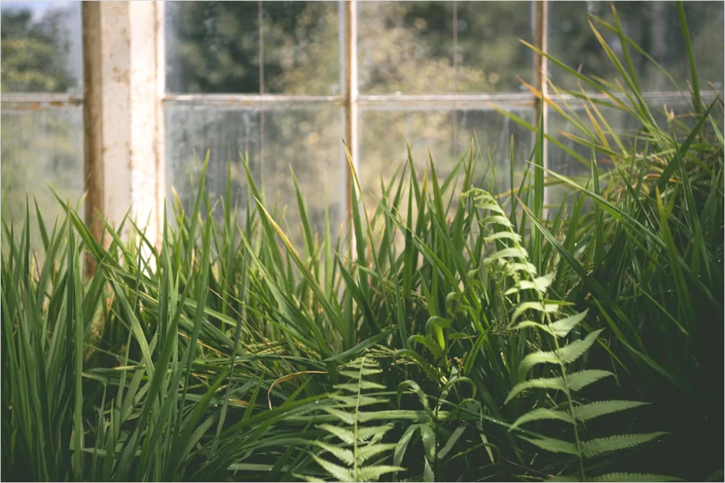 Detail Botanist Identifying Plants In Nature Study Number 11