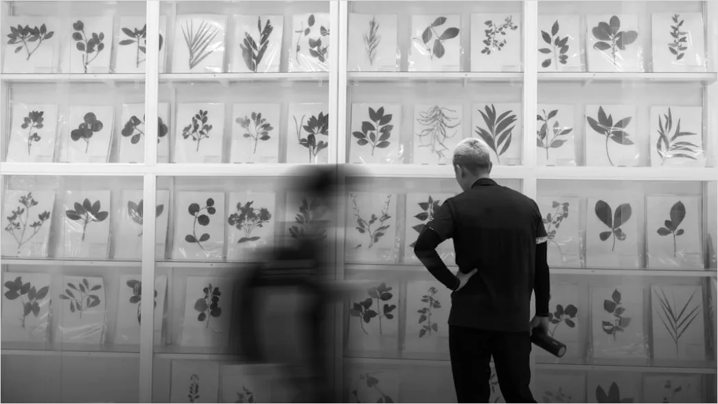 Detail Botanist Identifying Plants In Nature Study Number 17
