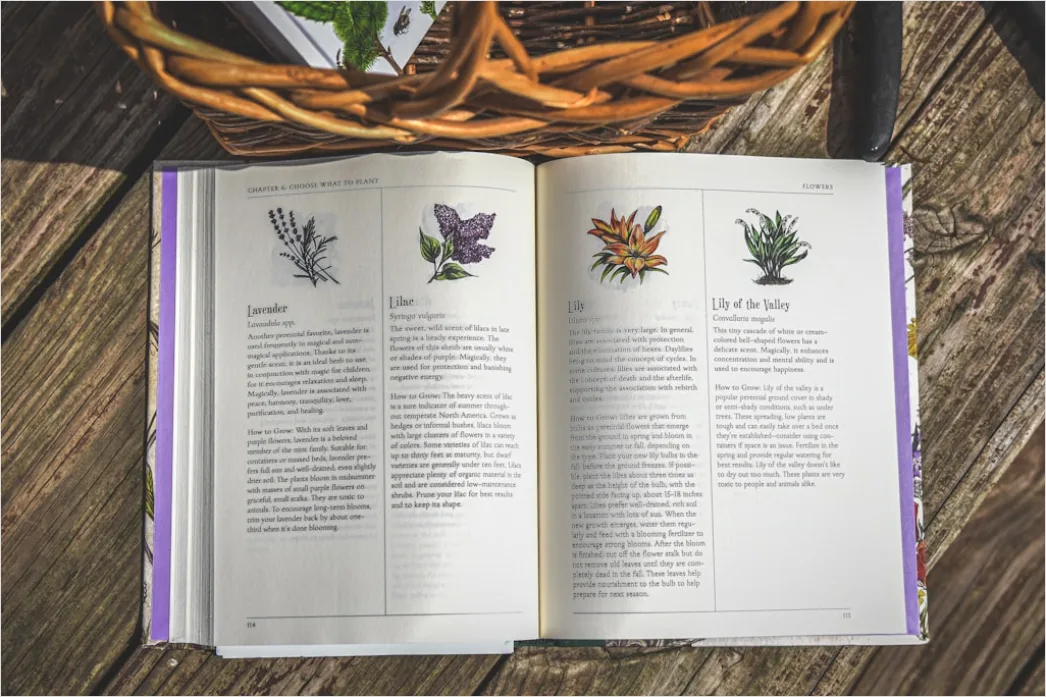 Detail Botanist Identifying Plants In Nature Study Number 3