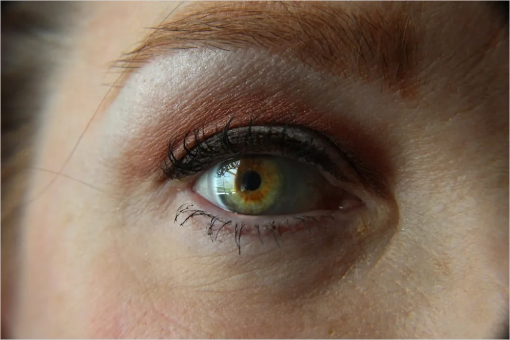 Detail Brown Eye Makeup Look Warm Tones Everyday Number 13
