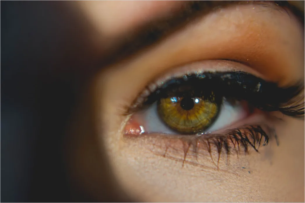 Detail Brown Eye Makeup Look Warm Tones Everyday Number 20