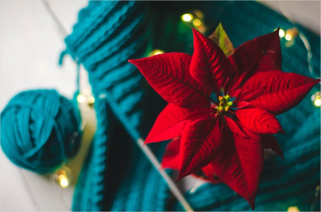 Detail Christmas Outfit Ideas Festive Cozy At Home Number 12