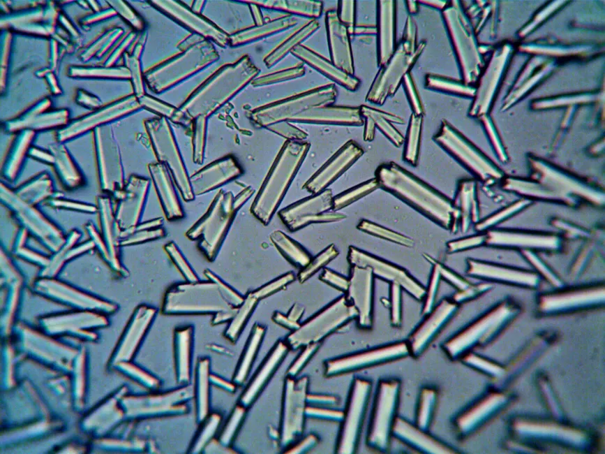 Detail Crystal Growth Experiment Laboratory Close Up Number 2