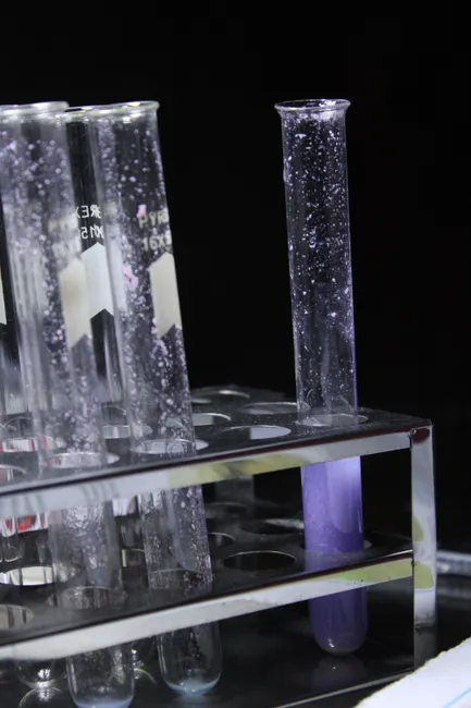 Detail Crystal Growth Experiment Laboratory Close Up Number 20