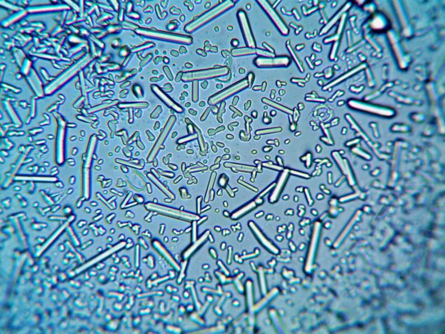 Detail Crystal Growth Experiment Laboratory Close Up Number 6