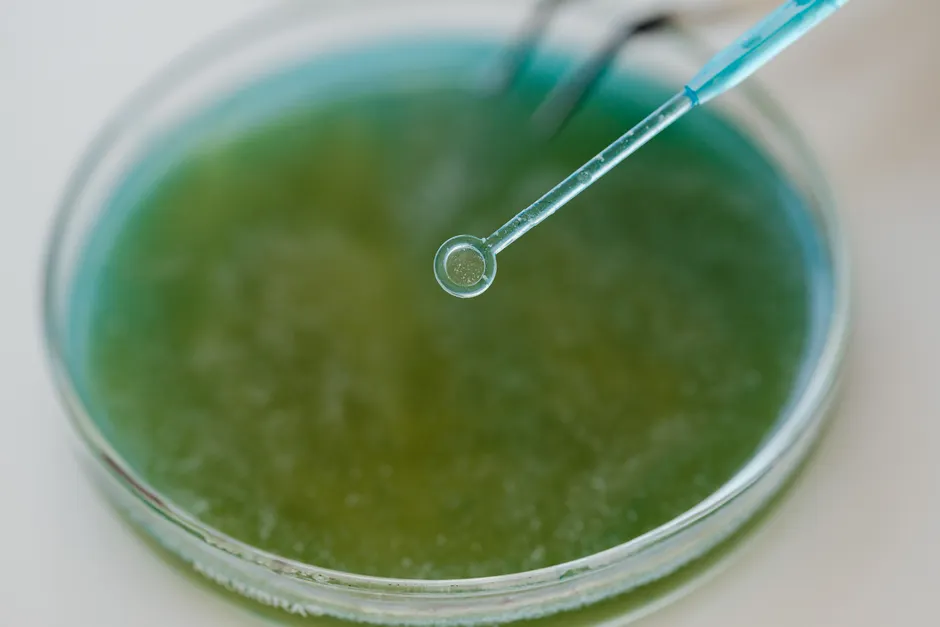 Detail Crystal Growth Experiment Laboratory Close Up Number 9