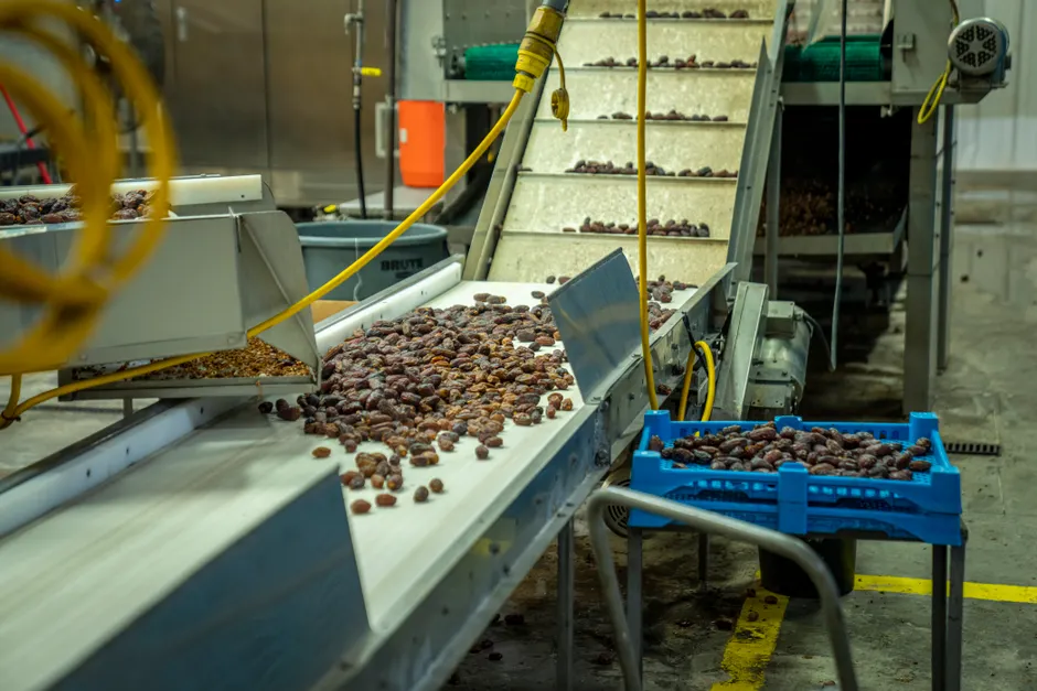 Distribution Center Conveyor Belt Sorting Packages 562b
