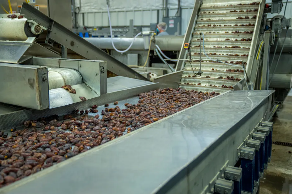Detail Distribution Center Conveyor Belt Sorting Packages Number 15