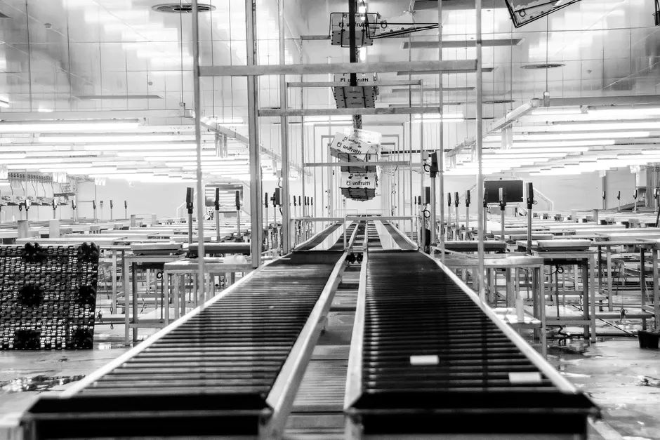 Detail Distribution Center Conveyor Belt Sorting Packages Number 6